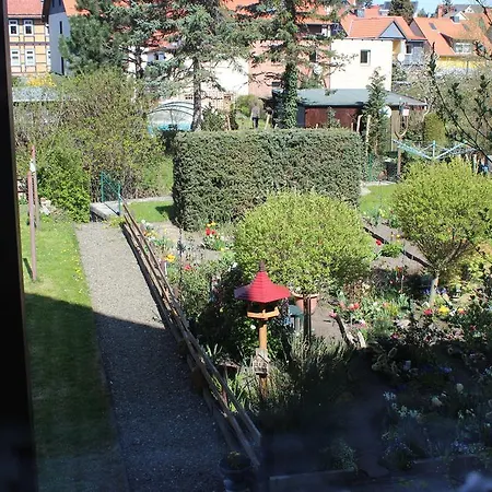 Patsch Wernigerode